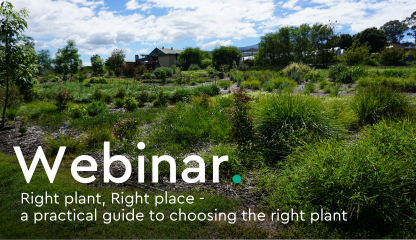 WEBINAR: Right plant, right place – A practical guide